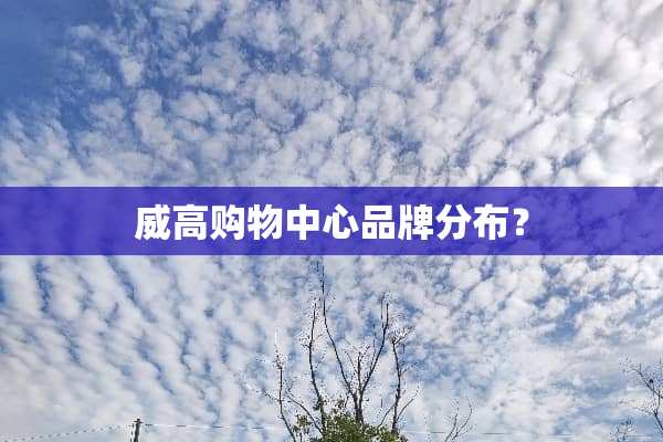 威高购物中心品牌分布？