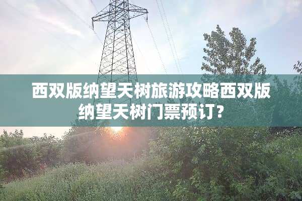 西双版纳望天树旅游攻略西双版纳望天树门票预订？