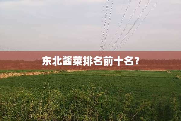 东北酱菜排名前十名？