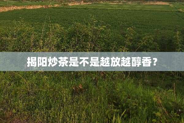 揭阳炒茶是不是越放越醇香？