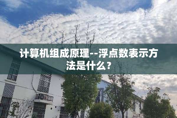计算机组成原理--浮点数表示方法是什么？