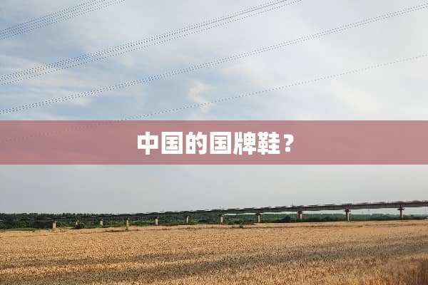 中国的国牌鞋？