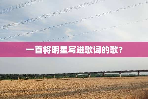 一首将明星写进歌词的歌？