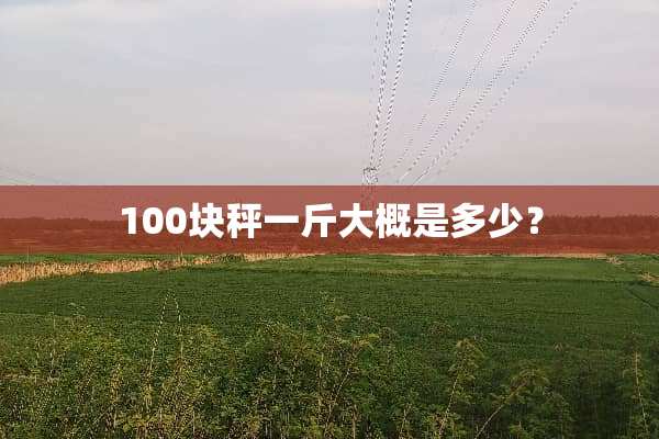 100块秤一斤大概是多少？