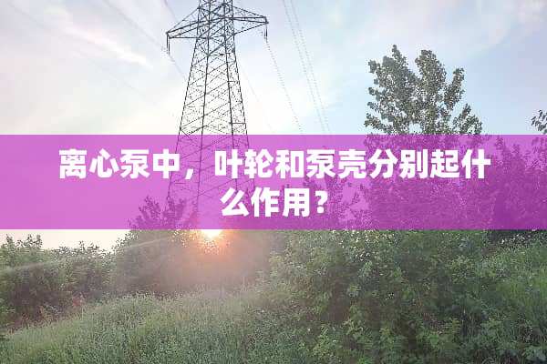 离心泵中，叶轮和泵壳分别起什么作用？
