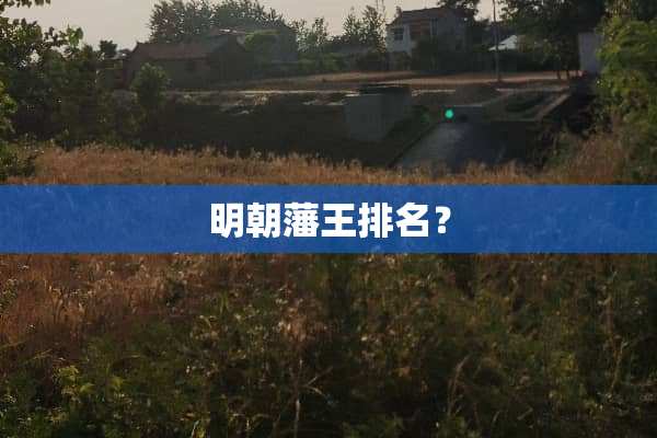 明朝藩王排名？