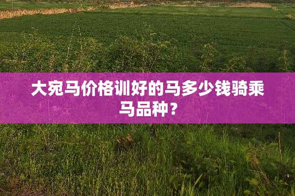 大宛马价格训好的马多少钱骑乘马品种？