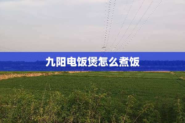 九阳电饭煲怎么煮饭