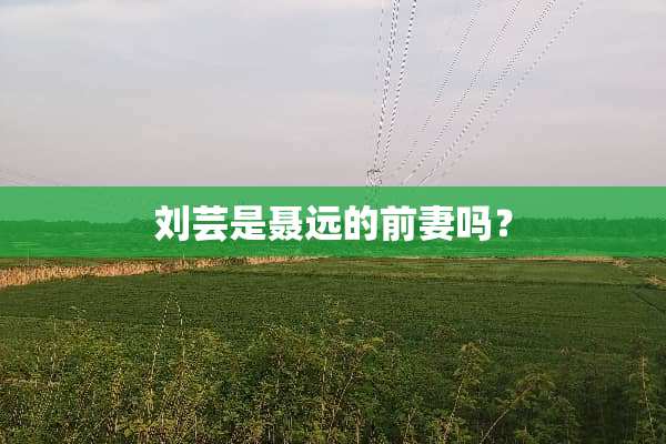 刘芸是聂远的前妻吗？