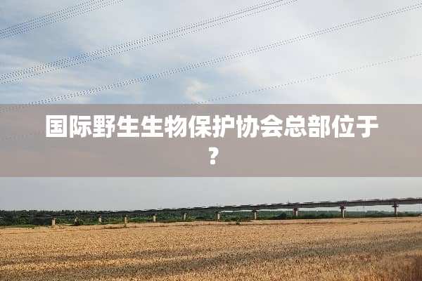 国际野生生物保护协会总部位于？