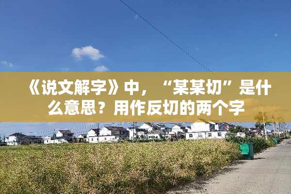《说文解字》中，“某某切”是什么意思？用作反切的两个字