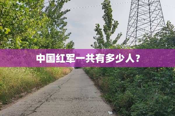 中国**一共有多少人？