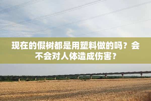 现在的假树都是用塑料做的吗？会不会对人体造成伤害？