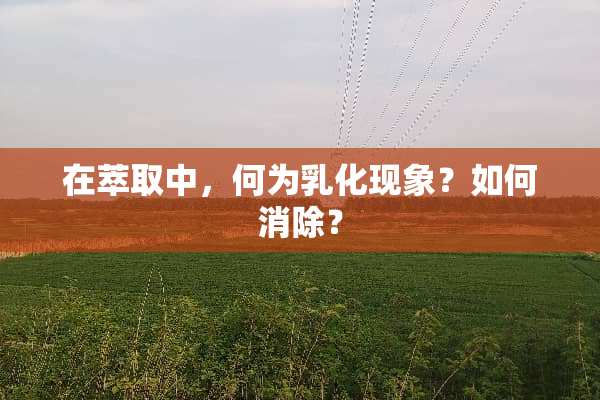 在萃取中，何为*化现象？如何消除？