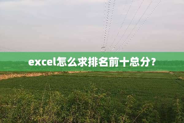 excel怎么求排名前十总分？