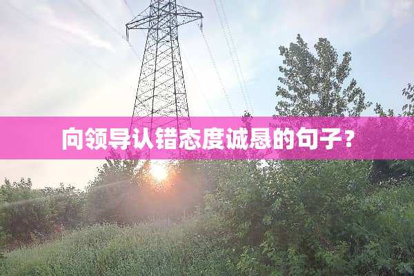 向领导认错态度诚恳的句子？