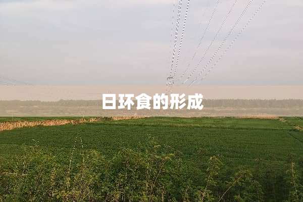 日环食的形成