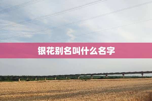 银花别名叫什么名字