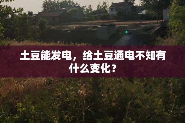 土豆能发电，给土豆通电不知有什么变化？
