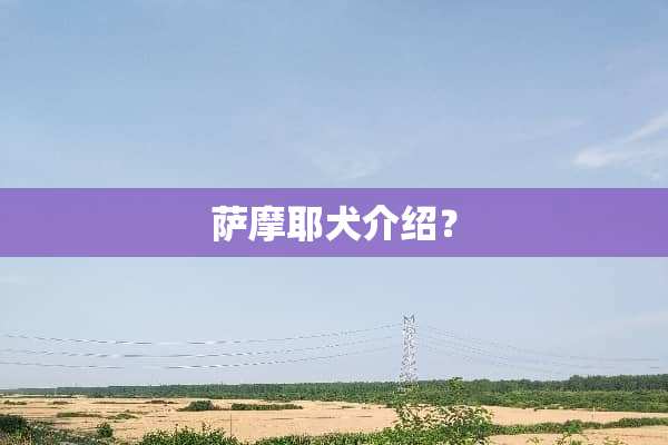 萨摩耶犬介绍？