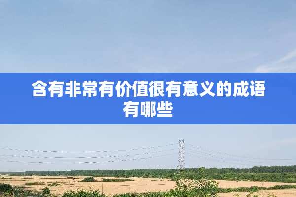 含有非常有价值很有意义的成语有哪些