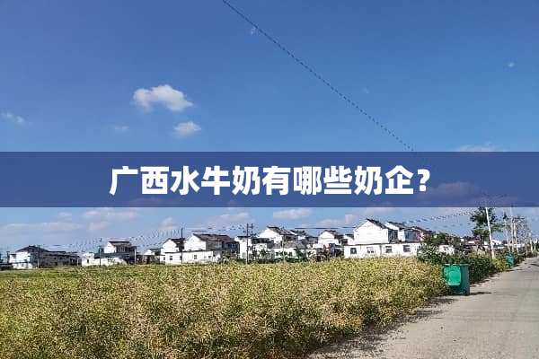 广西水牛奶有哪些奶企？