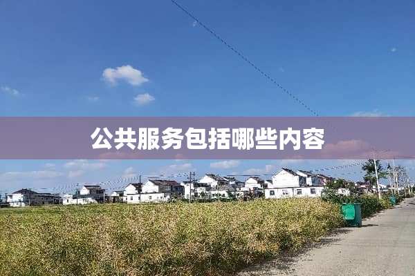 公共服务包括哪些内容