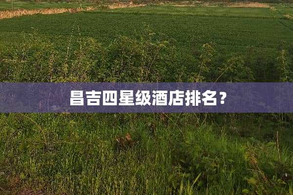 昌吉四星级酒店排名？