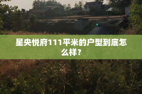 星央悦府111平米的户型到底怎么样？