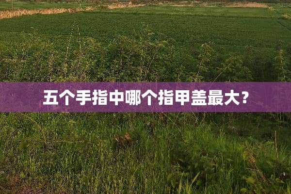 五个手指中哪个指甲盖最大？