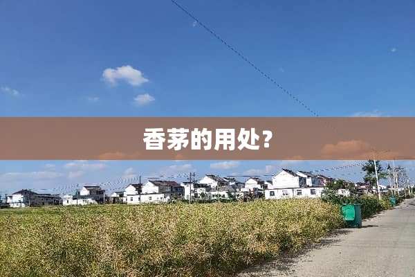 香茅的用处？