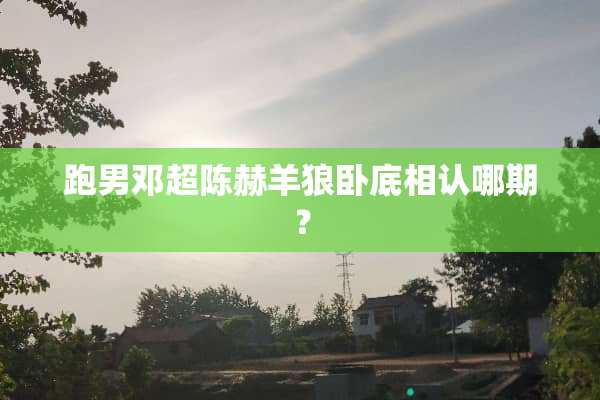 跑男邓超陈赫羊狼**相认哪期？