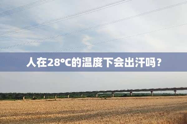 人在28℃的温度下会出汗吗？