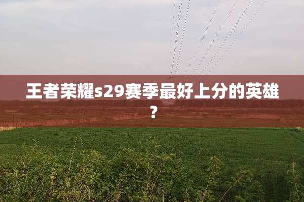 王者荣耀s29赛季最好上分的英雄？
