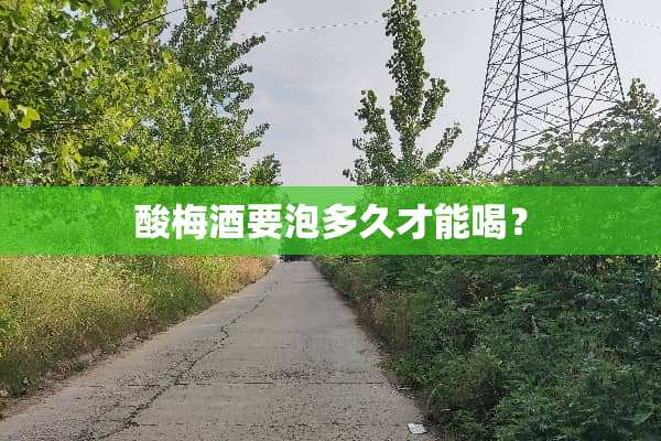 酸梅酒要泡多久才能喝？