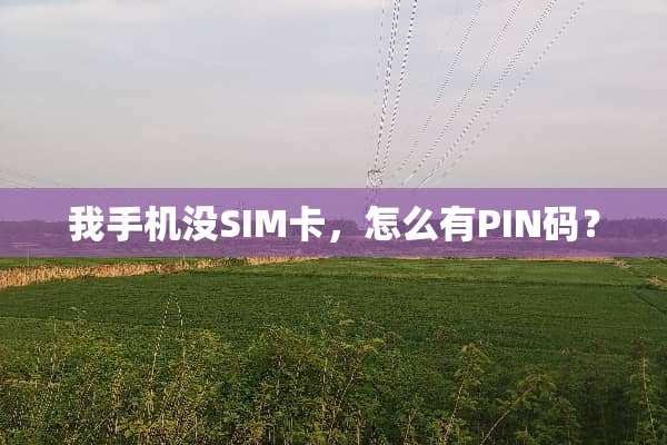 我手机没SIM卡，怎么有PIN码？