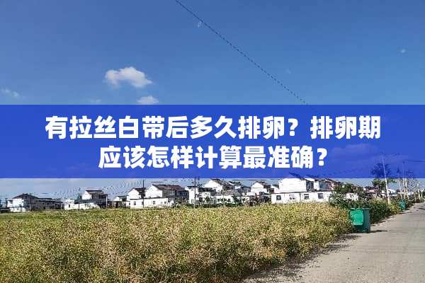 有拉丝白带后多久排卵？排卵期应该怎样计算最准确？