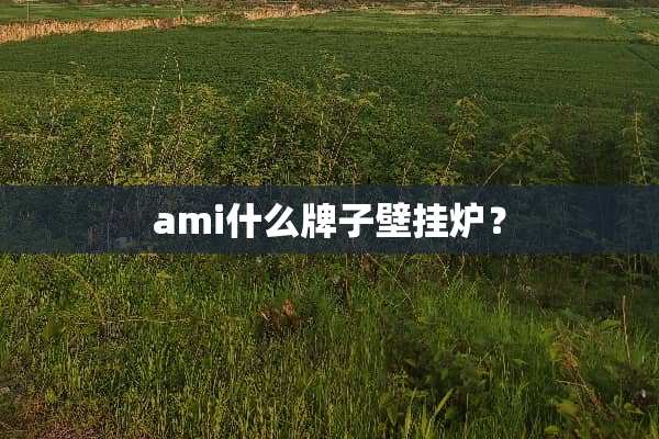 ami什么牌子壁挂炉？