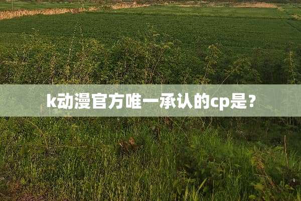 k动漫官方唯一承认的cp是？