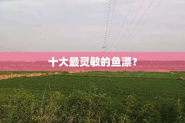 十大最灵敏的鱼漂？