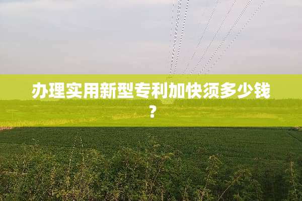 办理实用新型专利加快须多少钱？