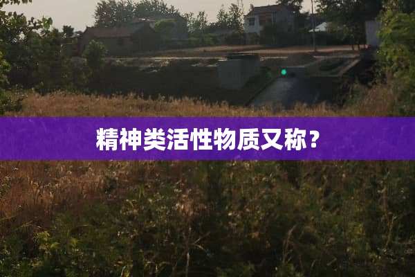 精神类活性物质又称？