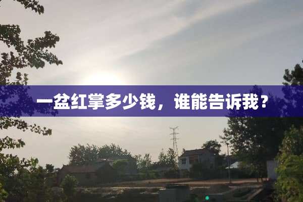 一盆红掌多少钱，谁能告诉我？