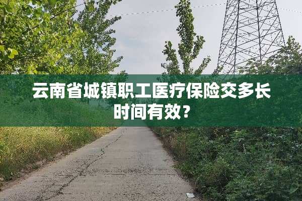 云南省城镇职工医疗保险交多长时间有效？