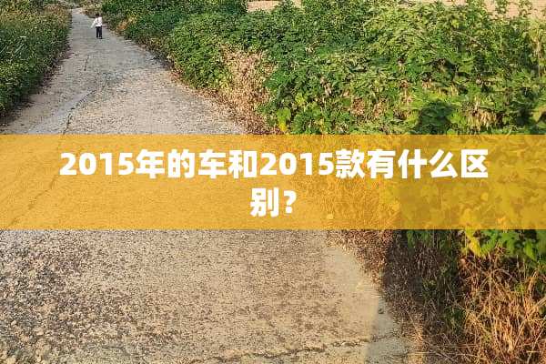 2015年的车和2015款有什么区别？