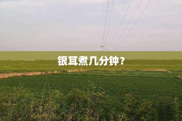 银耳煮几分钟？