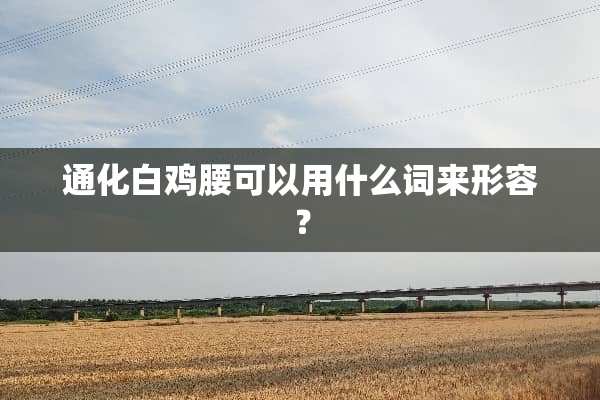 通化白鸡腰可以用什么词来形容？
