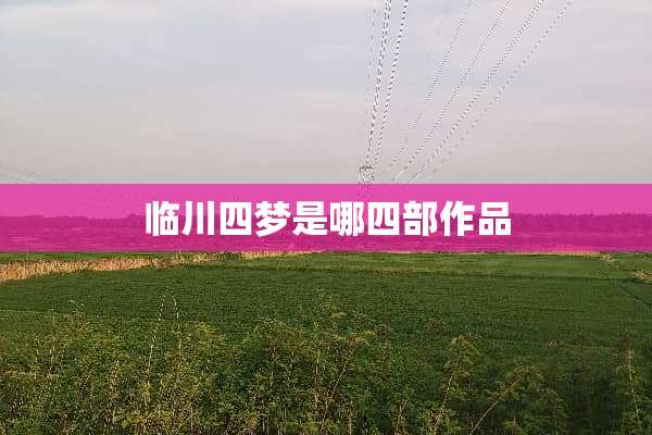 临川四梦是哪四部作品