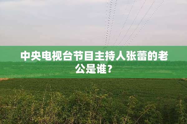 **电视台节目主持人张蕾的老公是谁？
