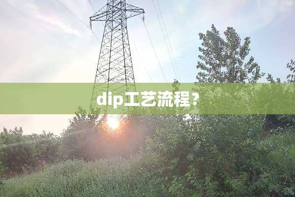 dip工艺流程？